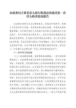 市商务局履行推进法治建设第一责任人职责情况报告（6500字述法）