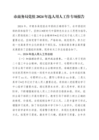 市商务局选人用人工作总结报告4600字