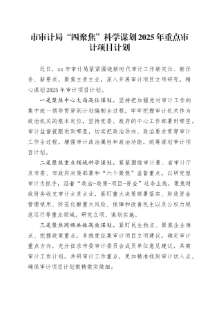 市审计局“四聚焦”科学谋划2025年重点审计项目计划（20241114）