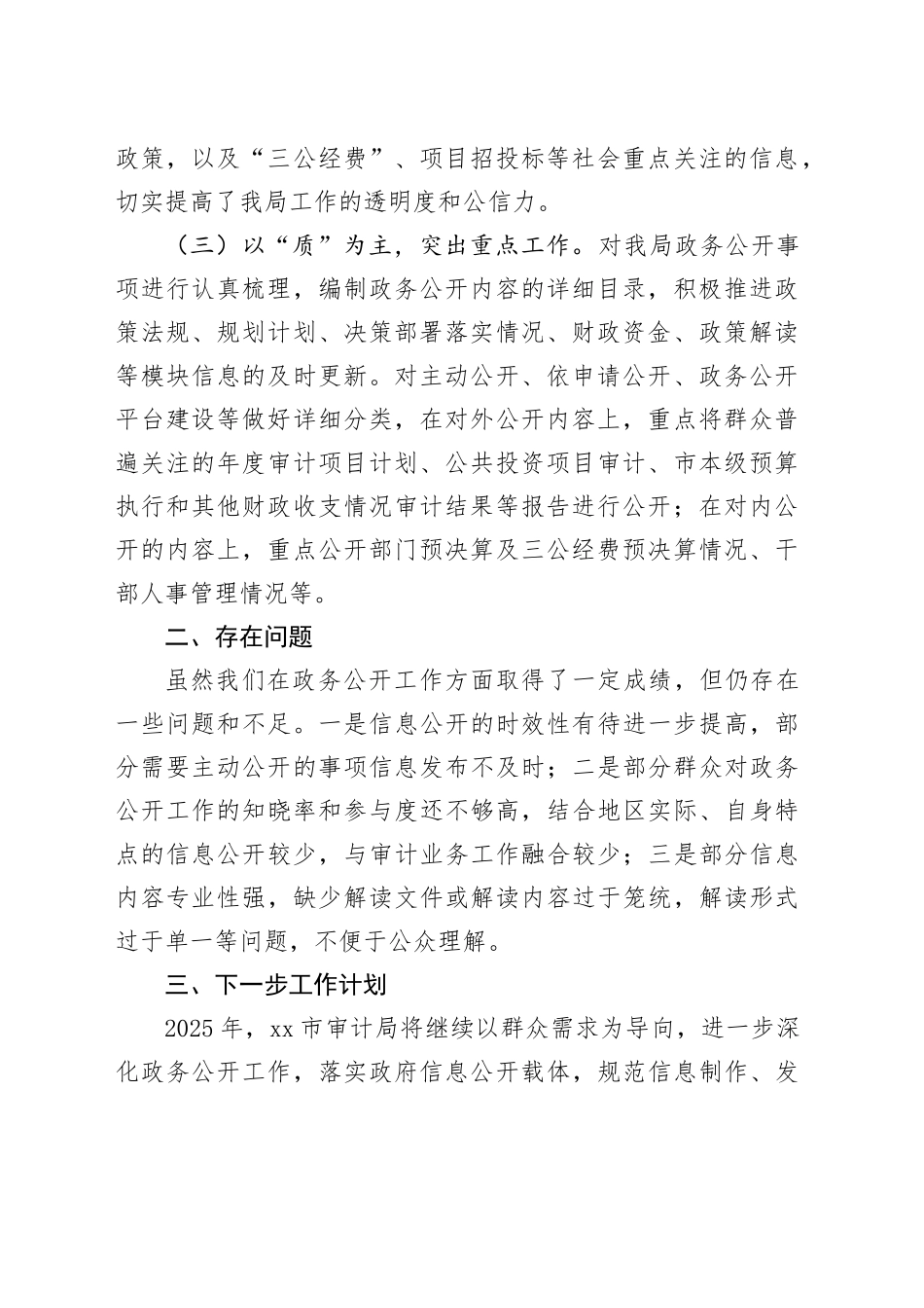 市审计局2024年度政务公开工作总结_第2页
