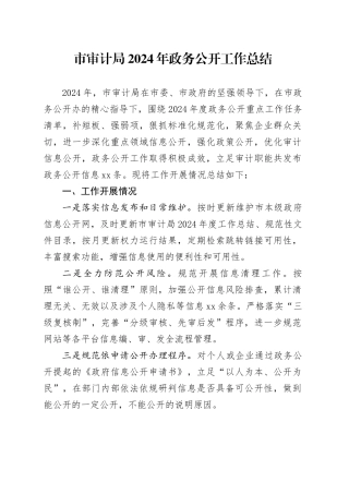 市审计局2024年政务公开工作总结