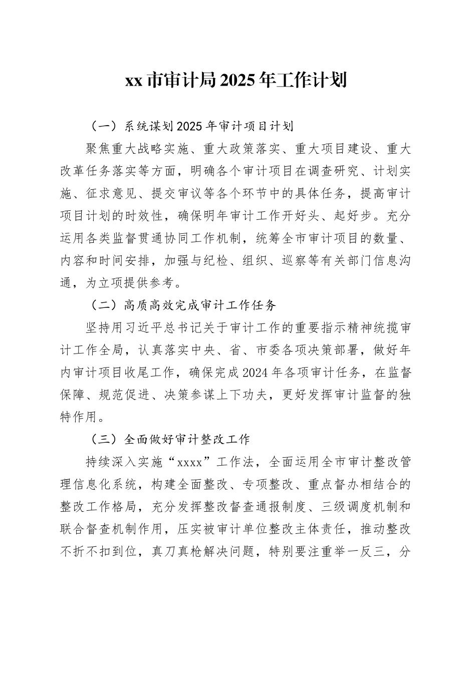 市审计局2025年工作计划_第1页