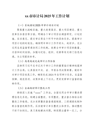 市审计局2025年工作计划