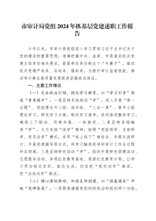 市审计局党组2024年抓基层党建述职工作报告