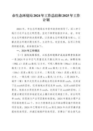 市生态环境局2024年工作总结和2025年工作计划