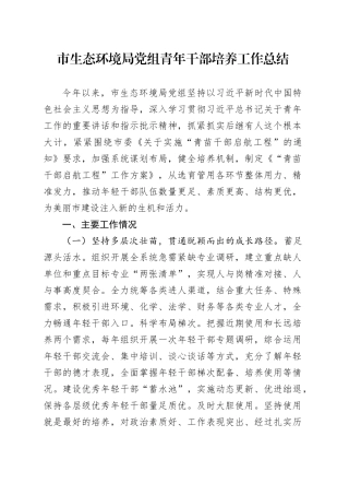 市生态环境局党组青年干部培养工作总结