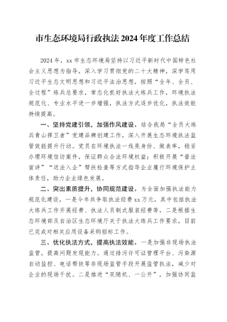 市生态环境局行政执法2024年度工作总结（20241119）