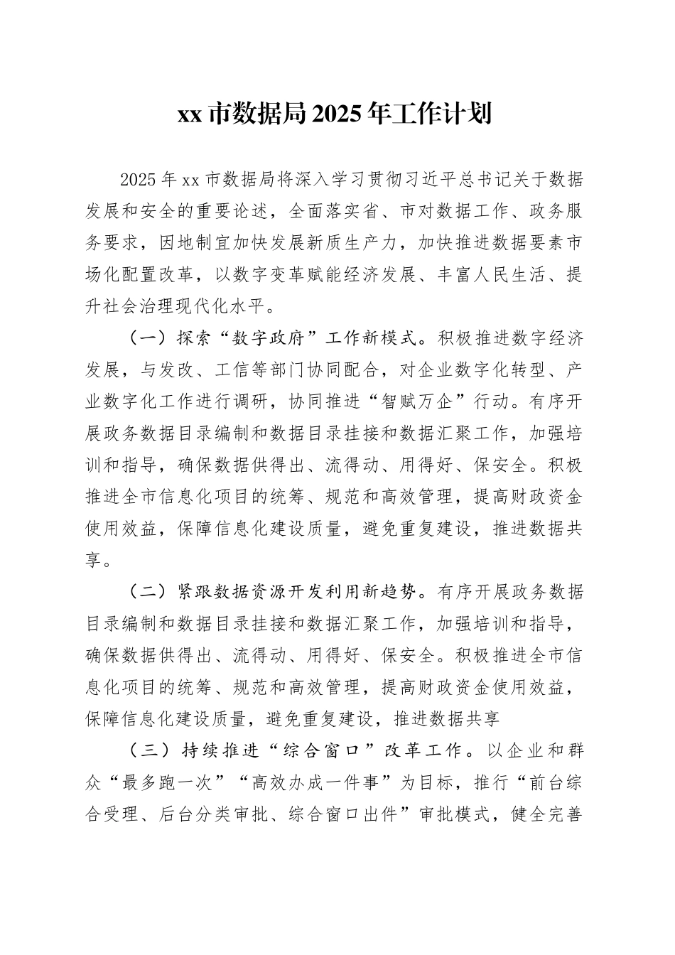 市数据局2025年工作计划_第1页