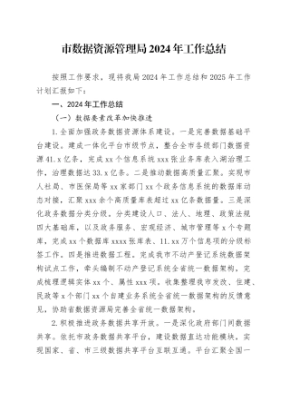 市数据资源管理局2024年工作总结