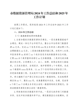 市数据资源管理局2024年工作总结和2025年工作计划（20241108）