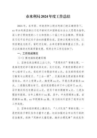 市水利局2024年度工作总结(1)