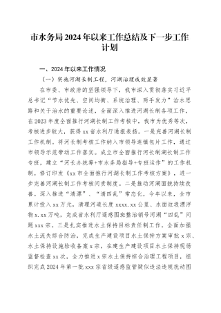 市水务局2024年以来工作总结及下一步工作计划
