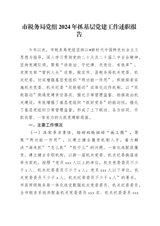 市税务局党组2024年抓党建工作述职报告3400字