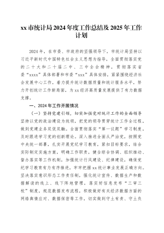 市统计局2024年度工作总结及2025年工作计划