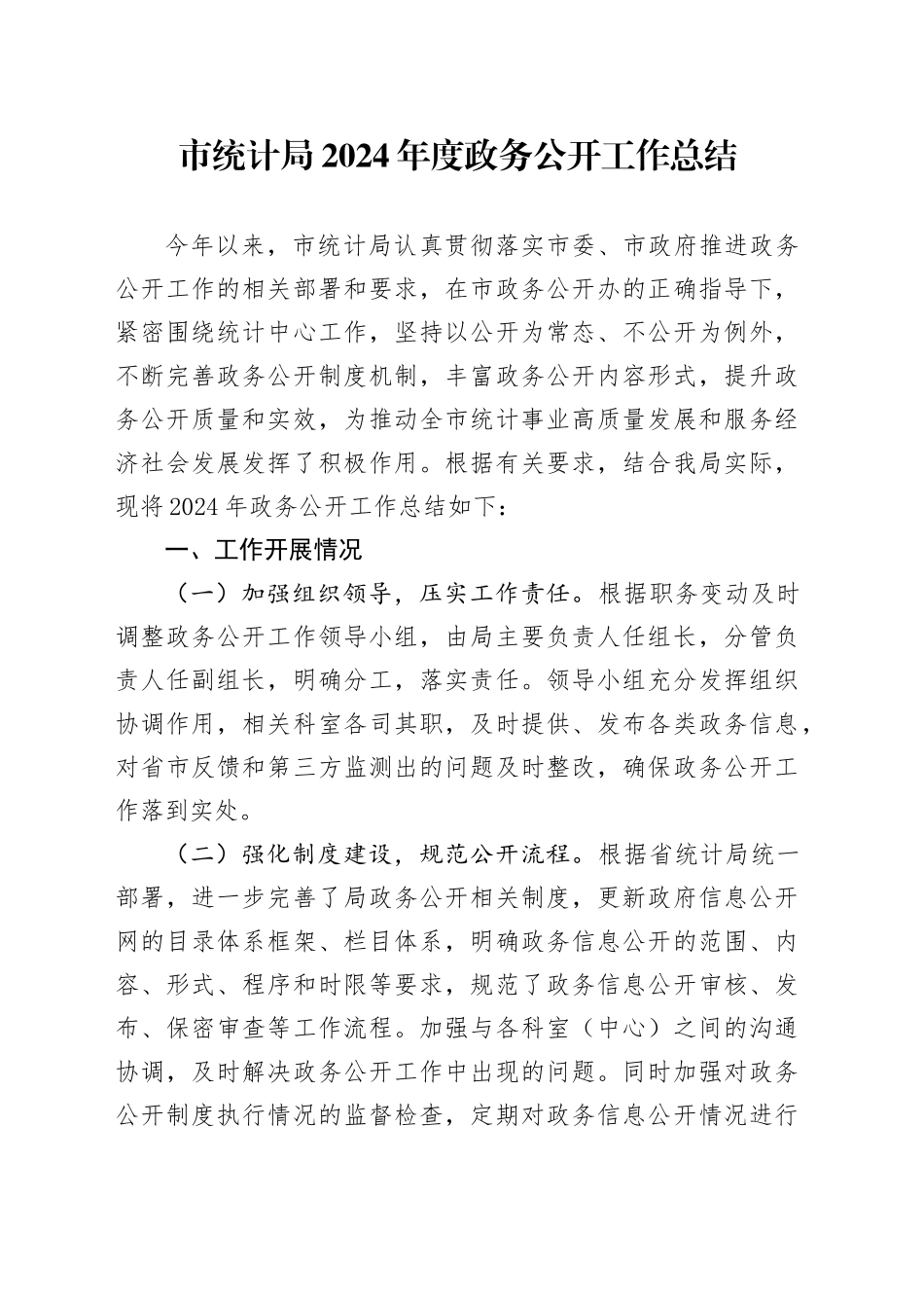 市统计局2024年度政务公开工作总结_第1页