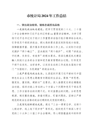 市统计局2024年工作总结(1)