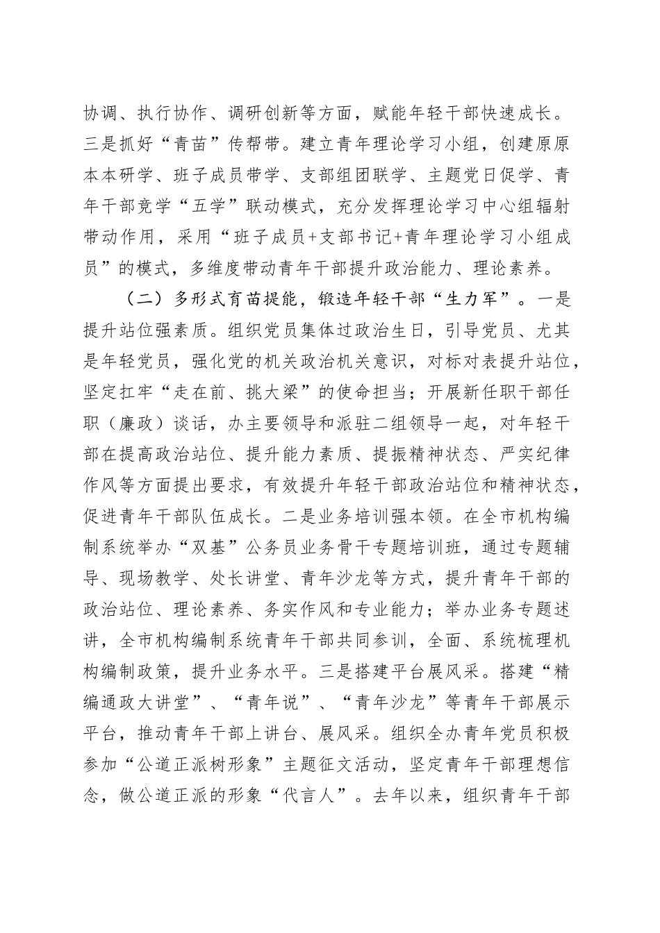 市委编办2024年青年干部培养工作总结_第2页