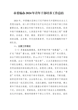 市委编办2024年青年干部培养工作总结