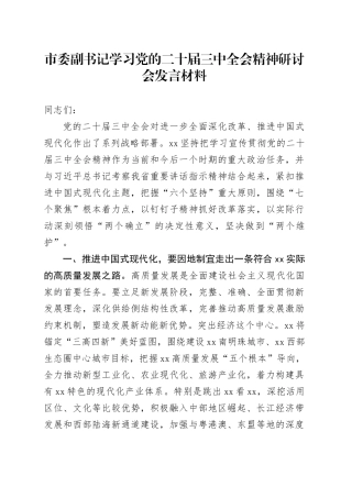 市委副书记学习党的二十届三中全会精神研讨会发言材料心得体会20241218