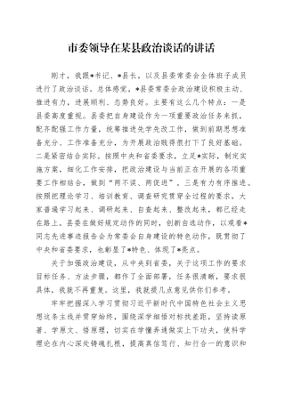 市委领导在某县政治谈话的讲话