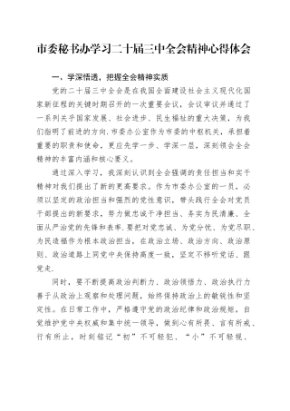 市委秘书办学习二十届三中全会精神心得体会