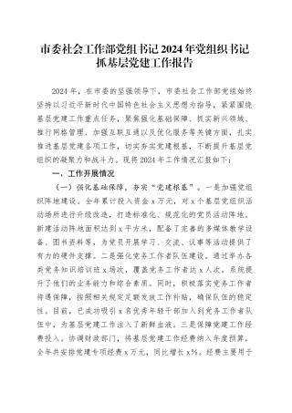 市委社会工作部党组书记2024年党组织书记抓基层党建工作报告