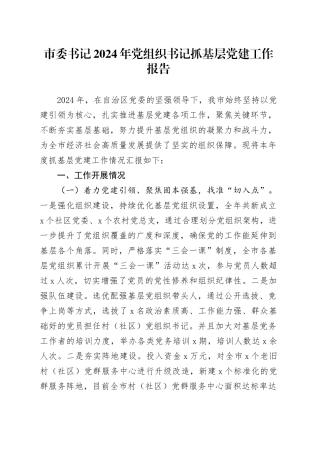 市委书记2024年党组织书记抓基层党建工作报告