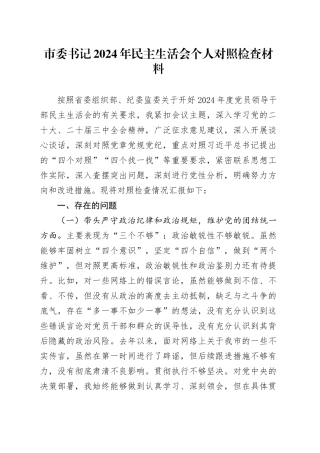 市委书记2024年民主生活会个人对照检查材料