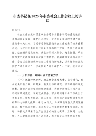 市委书记在2025年市委社会工作会议上的讲话