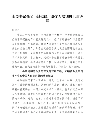市委书记在全市县处级干部学习培训班上的讲话