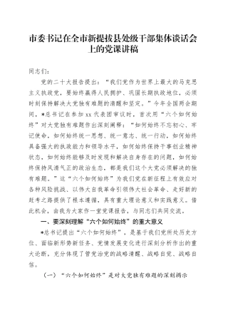 市委书记在全市新提拔县处级干部集体谈话会上的党课