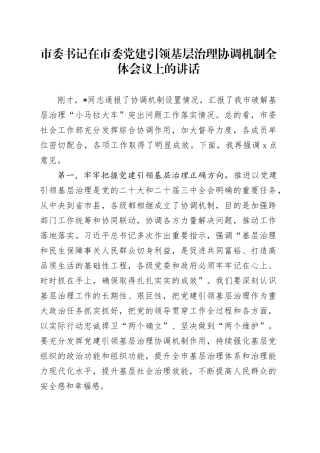 市委书记在市委党建引领基层治理协调机制全体会议上的讲话