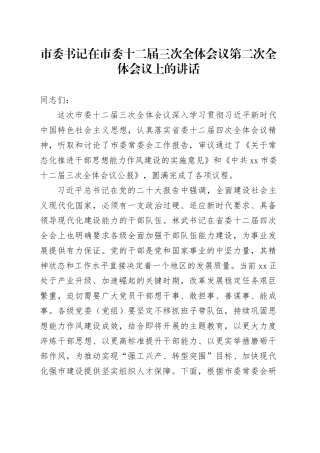 市委书记在市委十二届三次全体会议第二次全体会议上的讲话