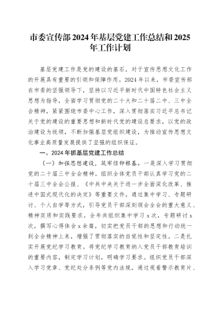 市委宣传部2024年基层党建工作总结和2025年工作计划汇报报告20241218