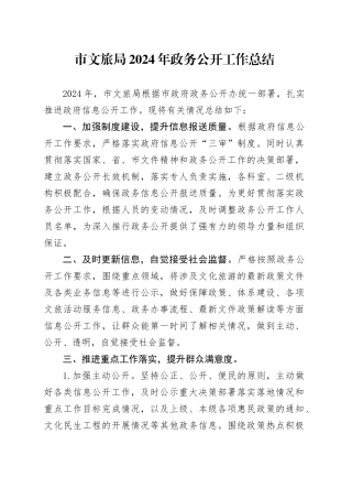 市文旅局2024年政务公开工作总结