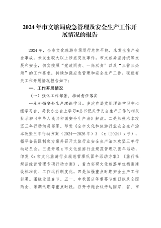 市文旅局应急管理及安全生产工作开展情况总结报告