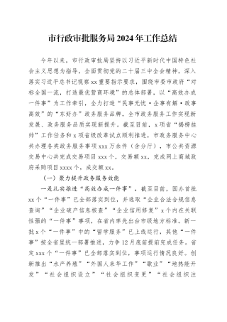 市行政审批服务局2024年工作总结