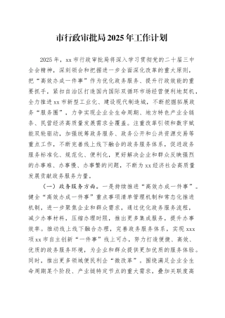 市行政审批局2025年工作计划