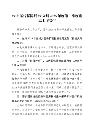 市医疗保障局分局2025年度第一季度重点工作安排
