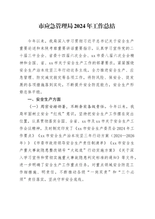 市应急管理局2024年工作总结