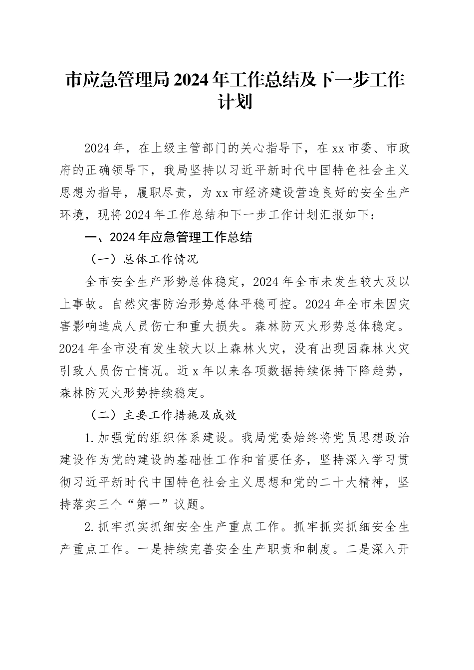 市应急管理局2024年工作总结及下一步工作计划_第1页