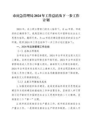 市应急管理局2024年工作总结及下一步工作计划