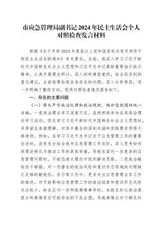 市应急管理局副书记2024年民主生活会个人对照检查发言材料