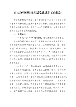 市应急管理局抓基层党建述职工作报告