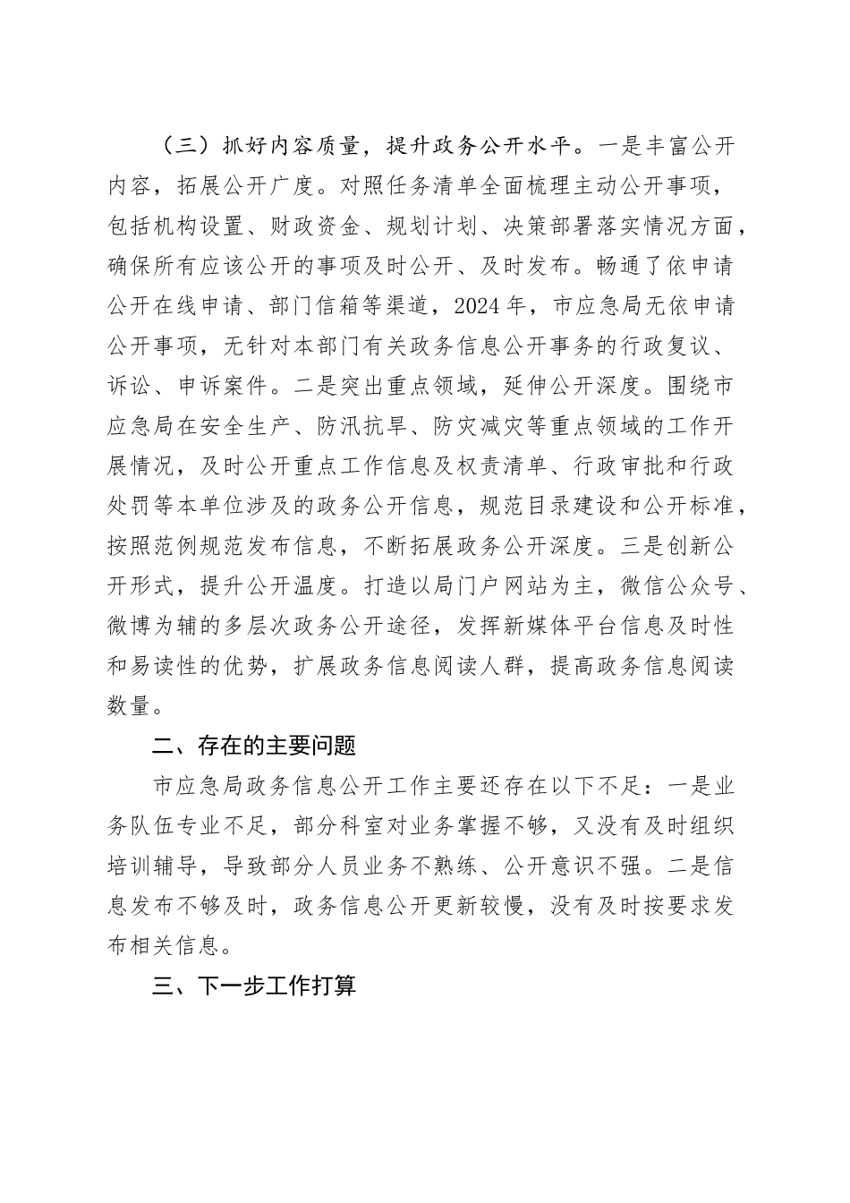 市应急局2024年政务公开工作总结_第2页