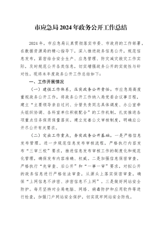 市应急局2024年政务公开工作总结