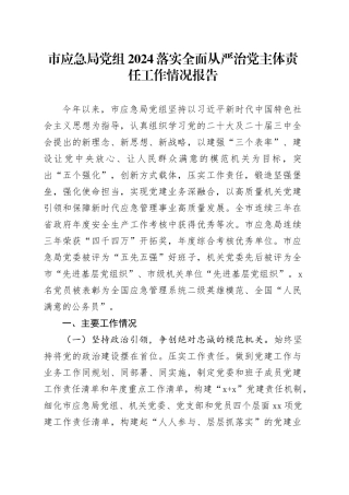市应急局党组2024落实全面从严治党主体责任工作情况报告