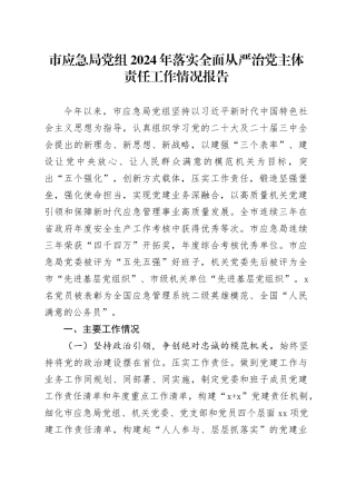 市应急局党组2024年落实全面从严治党主体责任工作情况报告