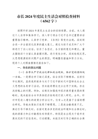 市长2024年度民主生活会对照检查材料（6562字）
