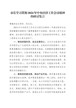 市长学习贯彻2024年中央经济工作会议精神的研讨发言